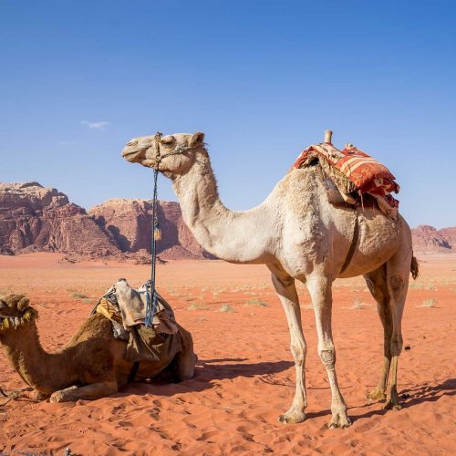 Middle East