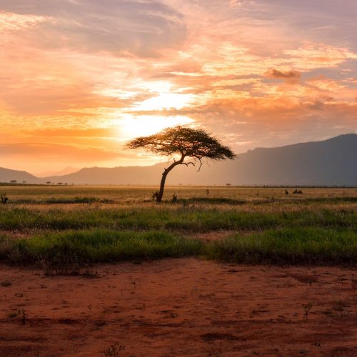 africa